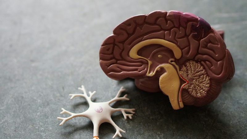 Neuro-Psychiatry & Brain Health Global Hospital Ayodhya
